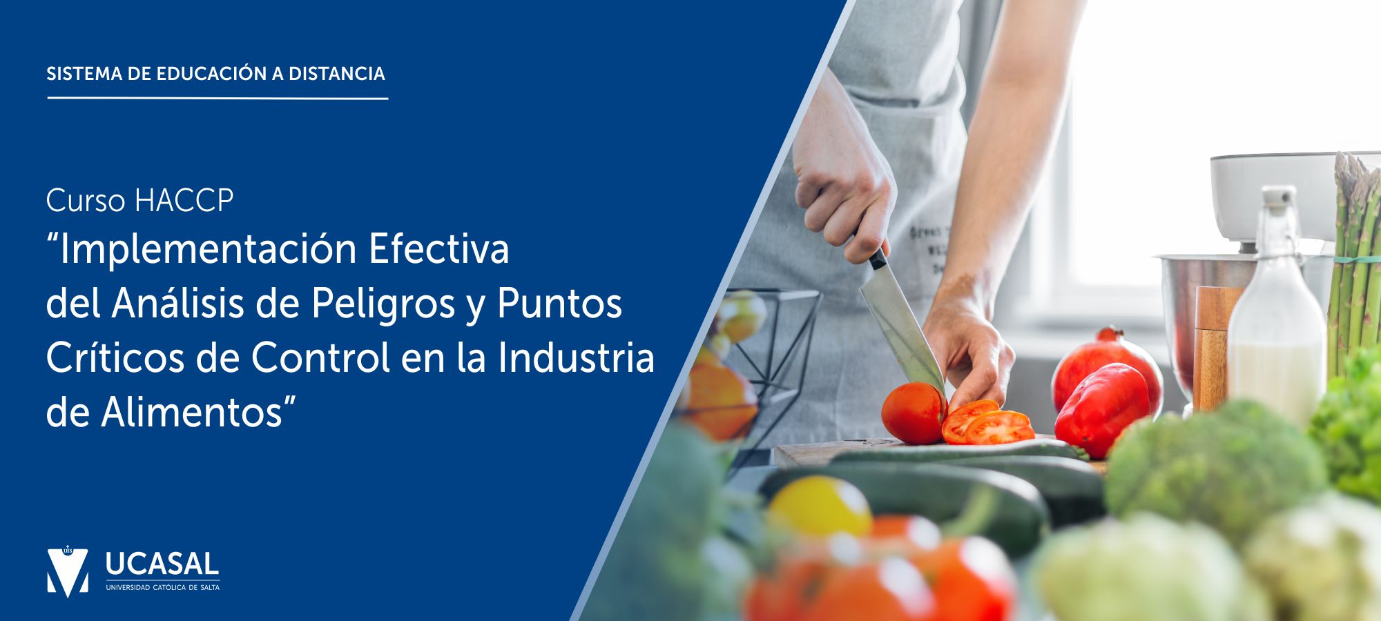 Haccp Implementación Efectiva Del Análisis De Peligros Y Puntos Críticos De Control En La 6572