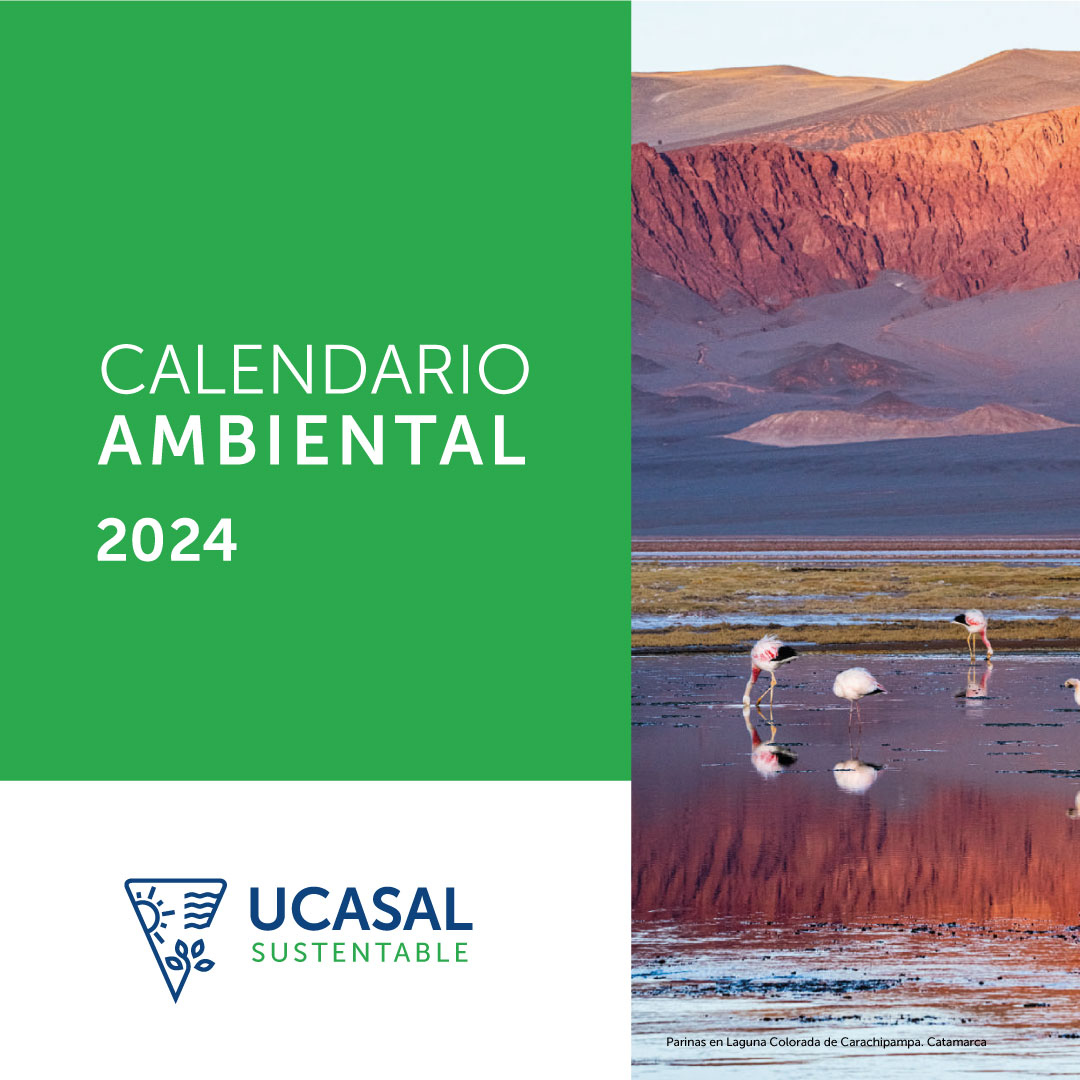 Calendario Ambiental 2024 UCASAL Universidad Católica de Salta